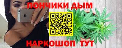 стаф Дубна