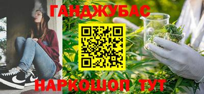 стаф Дубна