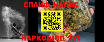 стаф Дубна