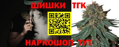 стаф Дубна