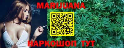 стаф Дубна